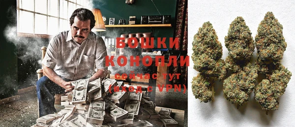 сатива Медвежьегорск
