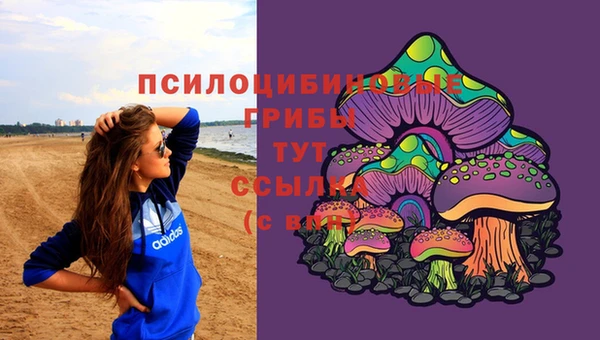 марки lsd Мегион