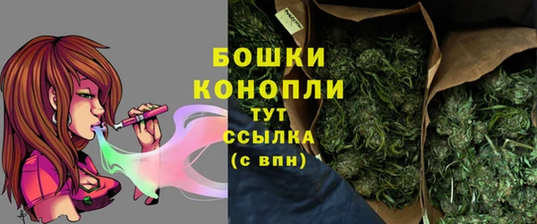 сатива Медвежьегорск