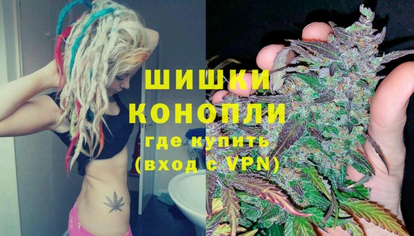 сатива Медвежьегорск